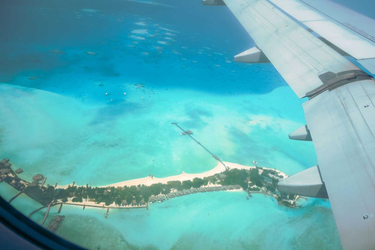 Питомец и уют